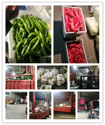 ��ҳ- �ڲ���������Ϊ��,רҵ����!