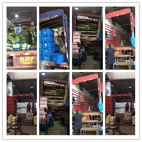 ��ҳ- �ڲ���������Ϊ��,רҵ����!