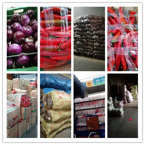 ��ҳ- �ڲ���������Ϊ��,רҵ����!