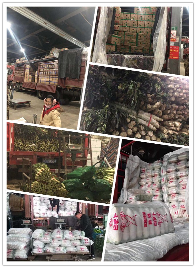 ��ҳ- �ڲ���������Ϊ��,רҵ����!