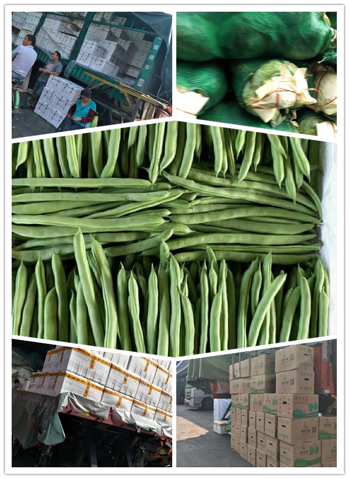 ��ҳ- �ڲ���������Ϊ��,רҵ����!