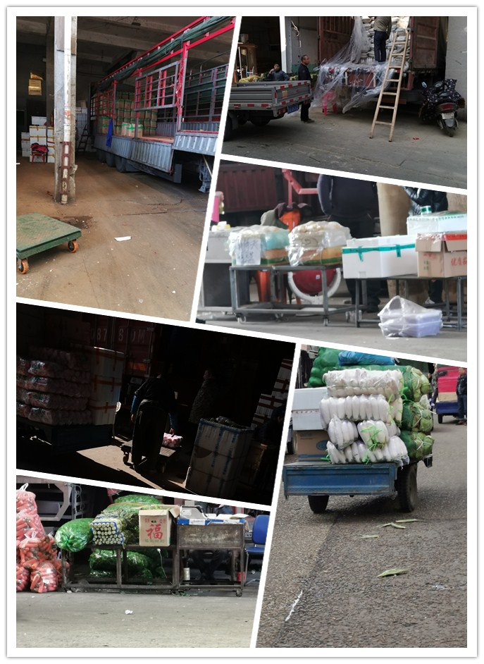 ��ҳ- �ڲ���������Ϊ��,רҵ����!