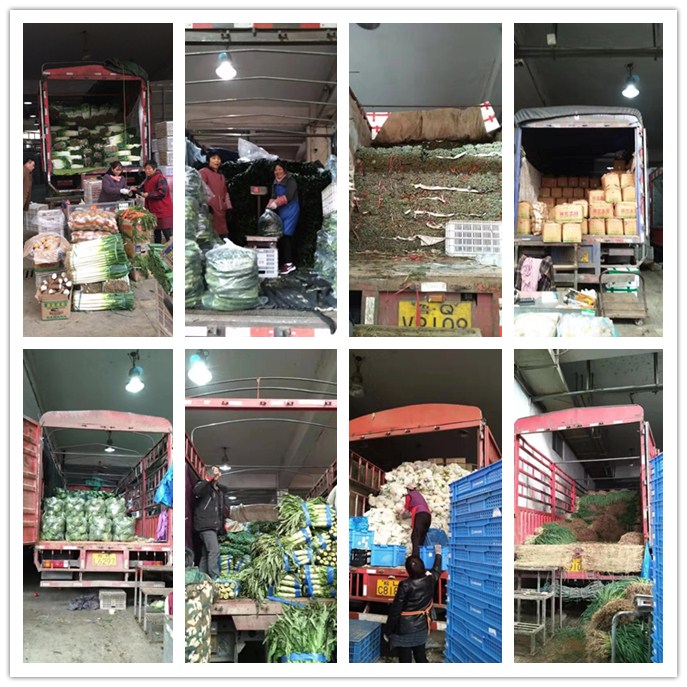 ��ҳ- �ڲ���������Ϊ��,רҵ����!