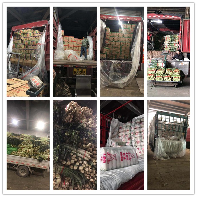 ��ҳ- �ڲ���������Ϊ��,רҵ����!