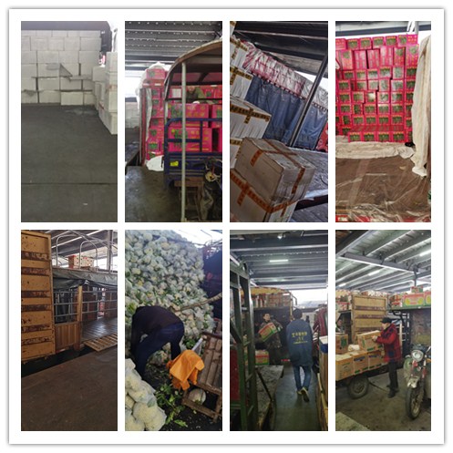 ��ҳ- �ڲ���������Ϊ��,רҵ����!