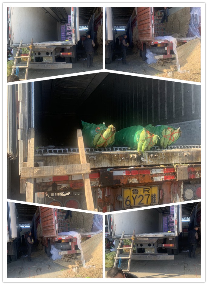 ��ҳ- �ڲ���������Ϊ��,רҵ����!