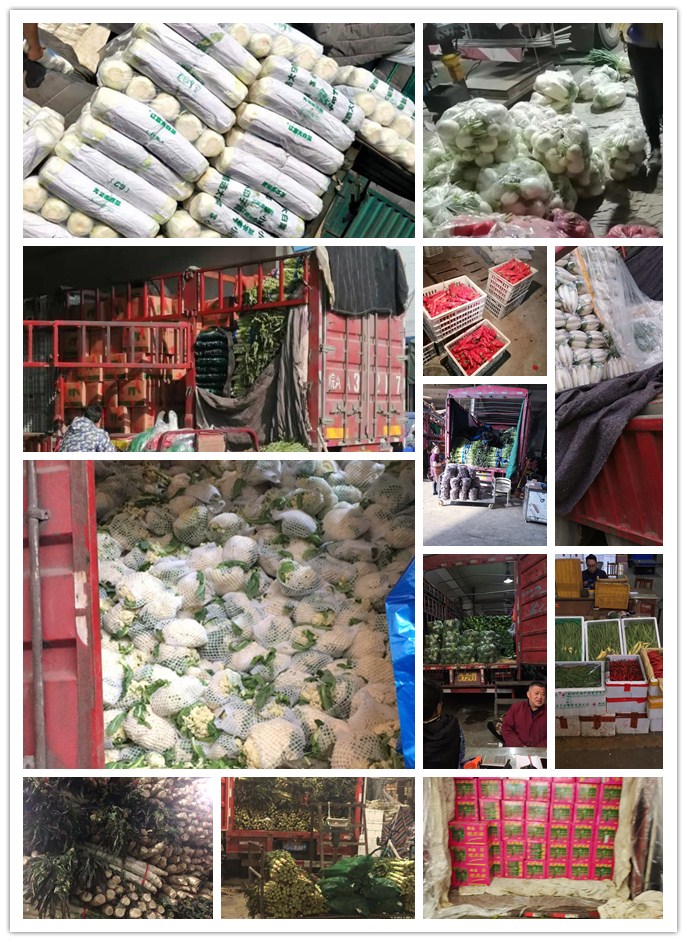 ��ҳ- �ڲ���������Ϊ��,רҵ����!