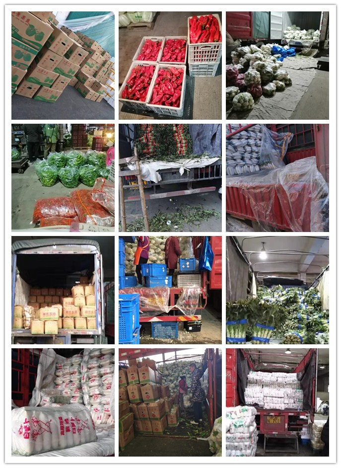 ��ҳ- �ڲ���������Ϊ��,רҵ����!