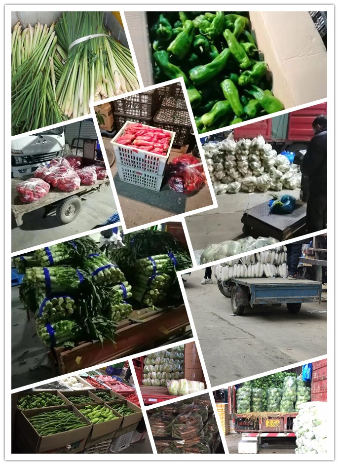 ��ҳ- �ڲ���������Ϊ��,רҵ����!