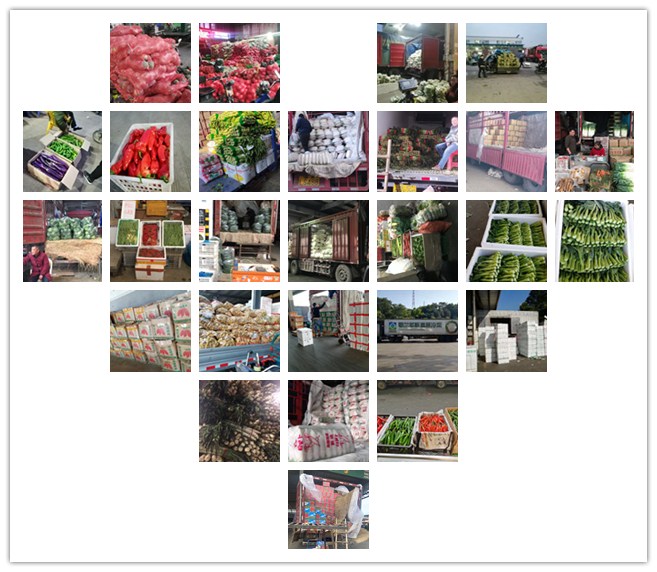 ��ҳ- �ڲ���������Ϊ��,רҵ����!