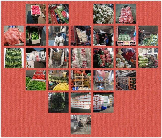 ��ҳ- �ڲ���������Ϊ��,רҵ����!