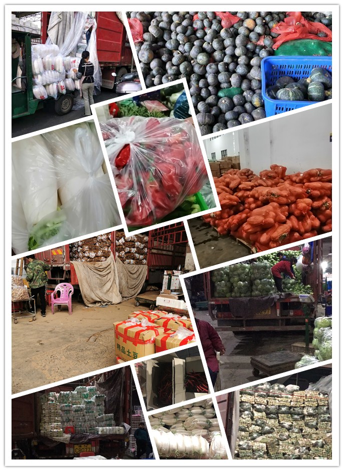 ��ҳ- �ڲ���������Ϊ��,רҵ����!