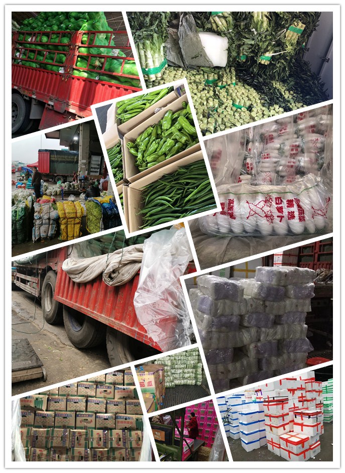 ��ҳ- �ڲ���������Ϊ��,רҵ����!