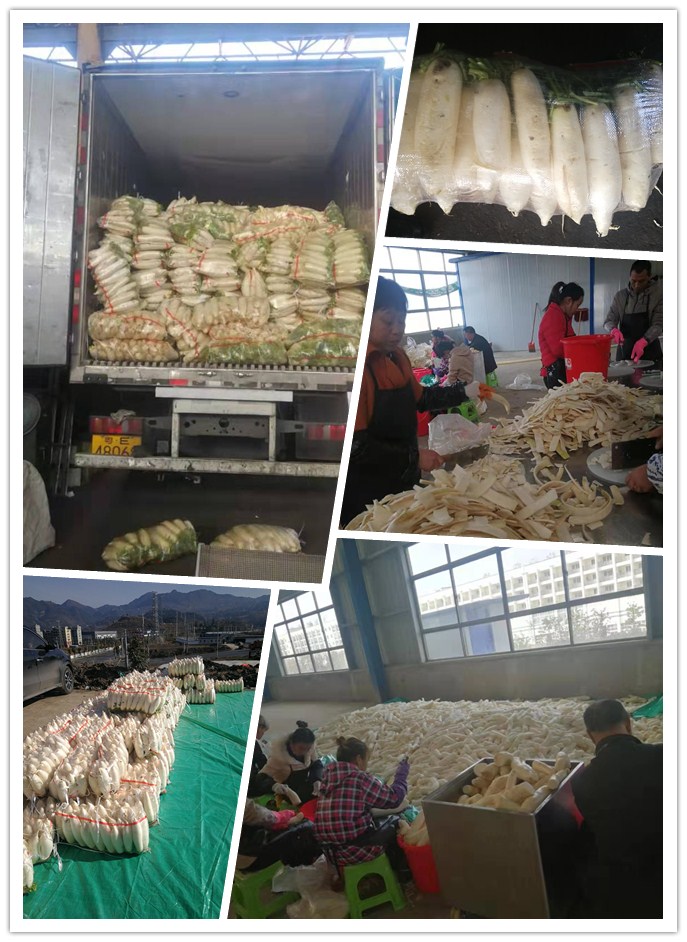 ��ҳ- �ڲ���������Ϊ��,רҵ����!