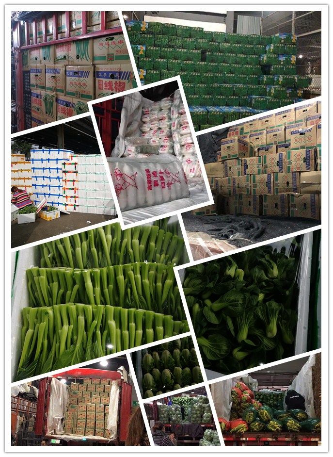 ��ҳ- �ڲ���������Ϊ��,רҵ����!