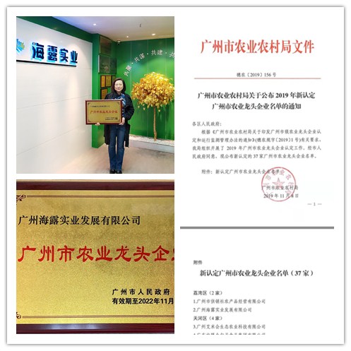 ��ҳ- �ڲ���������Ϊ��,רҵ����!