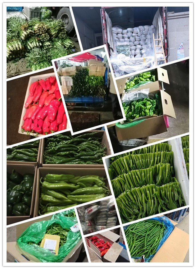 ��ҳ- �ڲ���������Ϊ��,רҵ����!