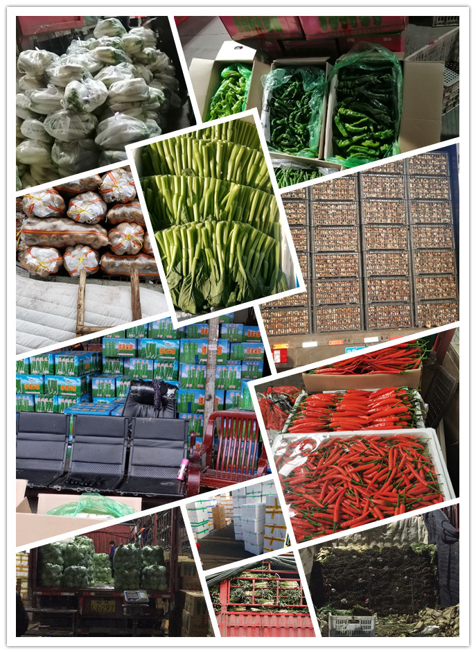 ��ҳ- �ڲ���������Ϊ��,רҵ����!