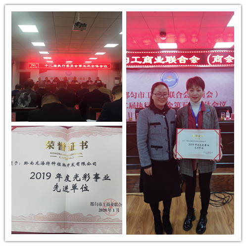 ��ҳ- �ڲ���������Ϊ��,רҵ����!