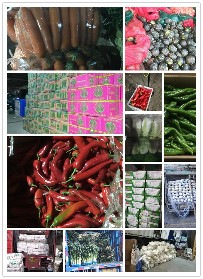 ��ҳ- �ڲ���������Ϊ��,רҵ����!