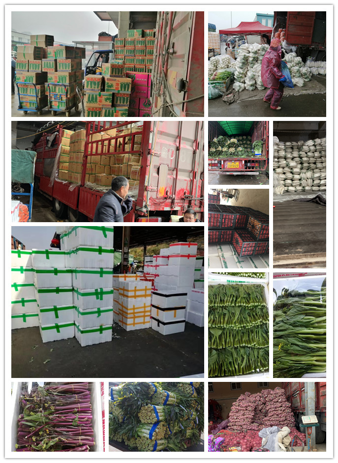 ��ҳ- �ڲ���������Ϊ��,רҵ����!