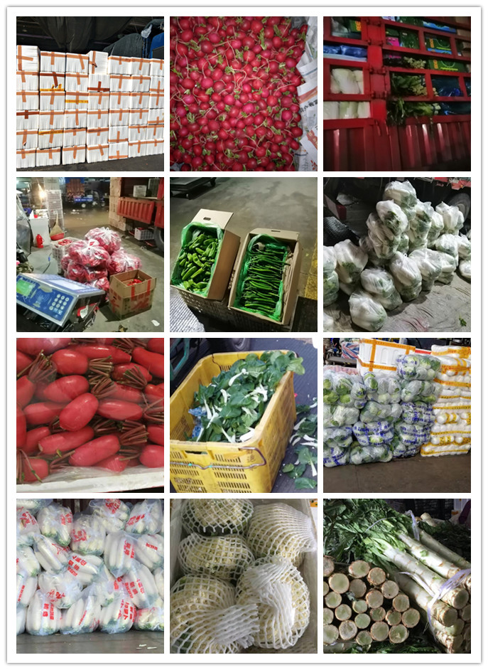 ��ҳ- �ڲ���������Ϊ��,רҵ����!