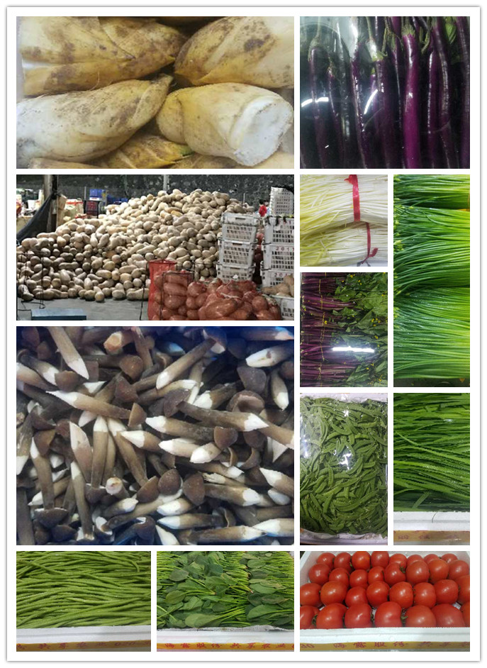 ��ҳ- �ڲ���������Ϊ��,רҵ����!