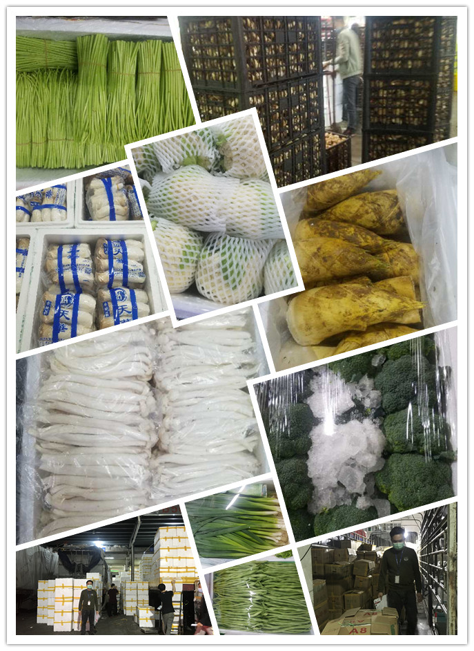 ��ҳ- �ڲ���������Ϊ��,רҵ����!