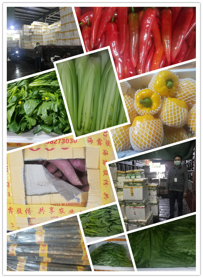 ��ҳ- �ڲ���������Ϊ��,רҵ����!