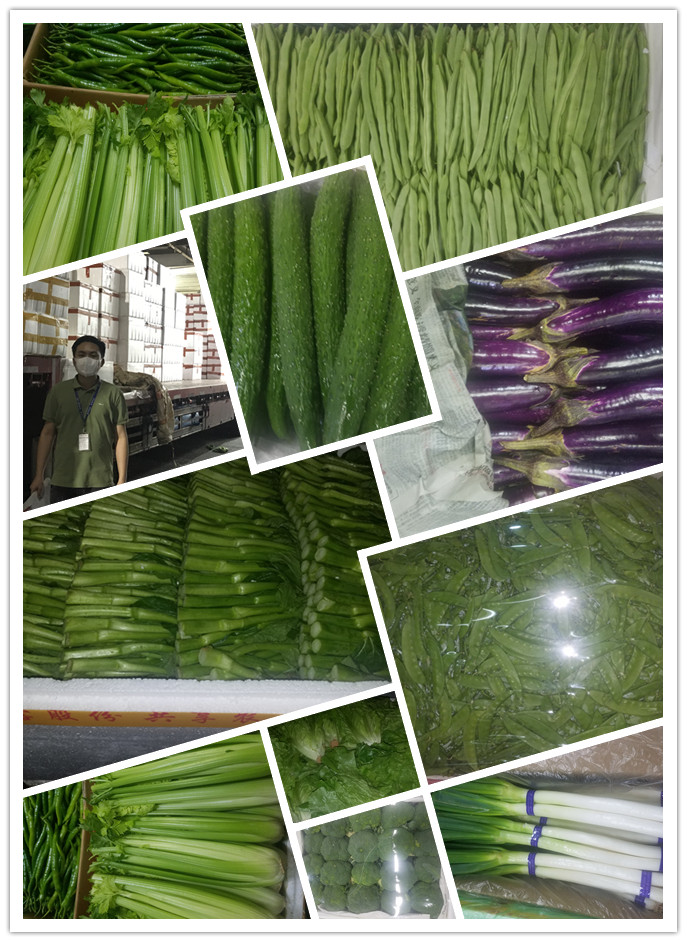 ��ҳ- �ڲ���������Ϊ��,רҵ����!