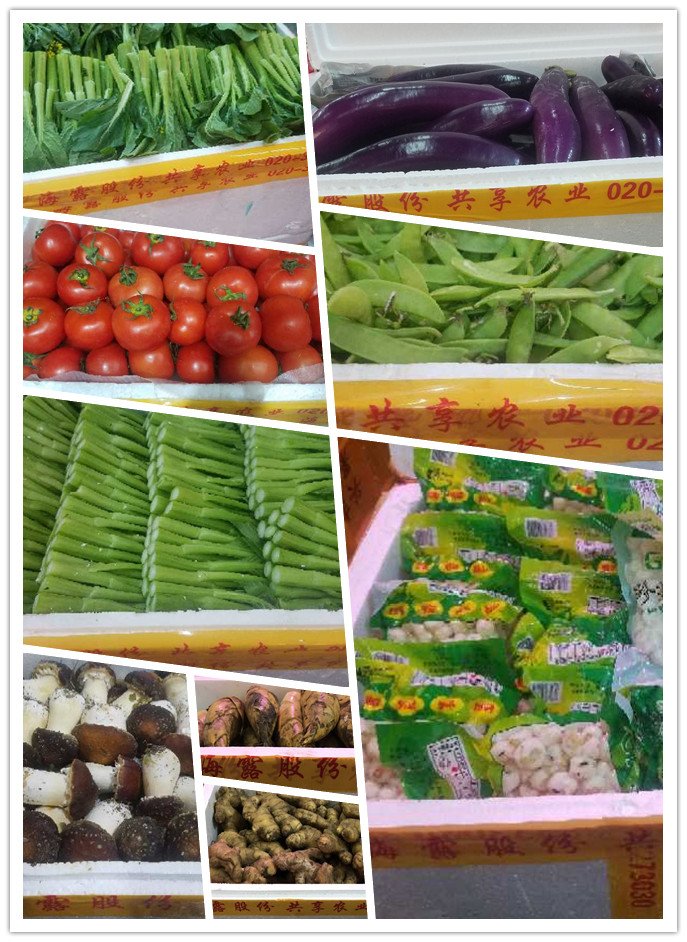 ��ҳ- �ڲ���������Ϊ��,רҵ����!