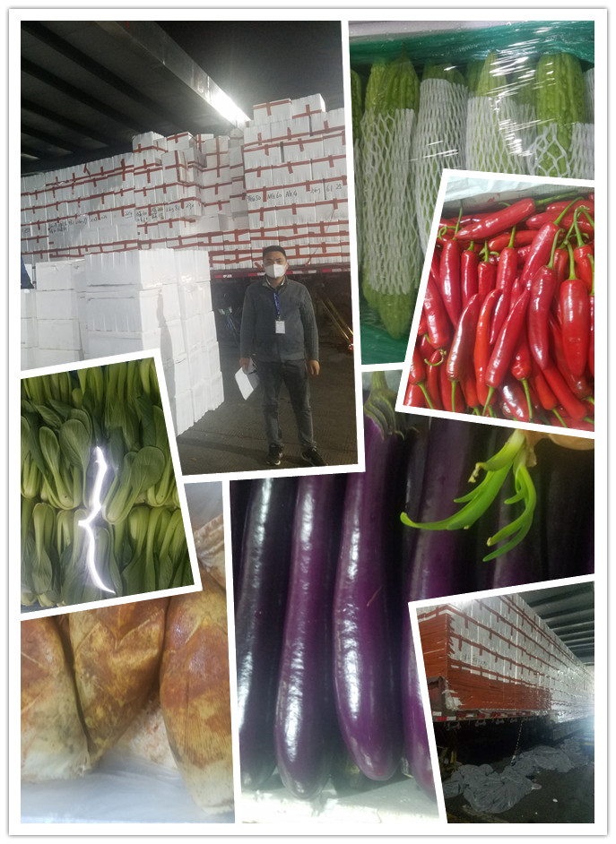 ��ҳ- �ڲ���������Ϊ��,רҵ����!