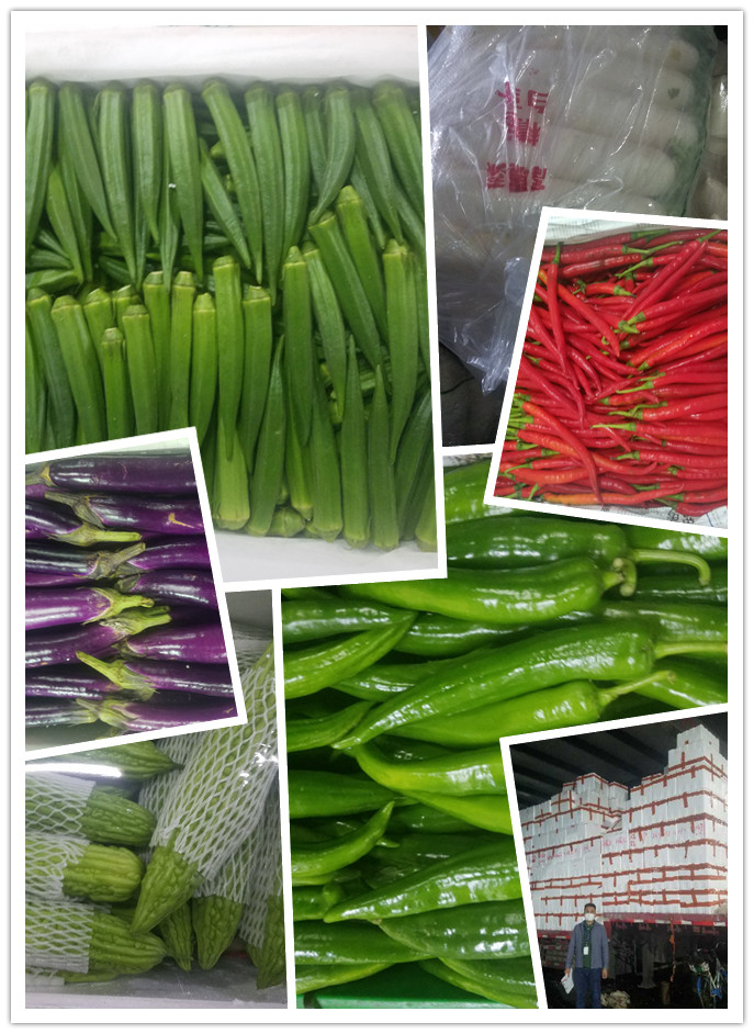 ��ҳ- �ڲ���������Ϊ��,רҵ����!