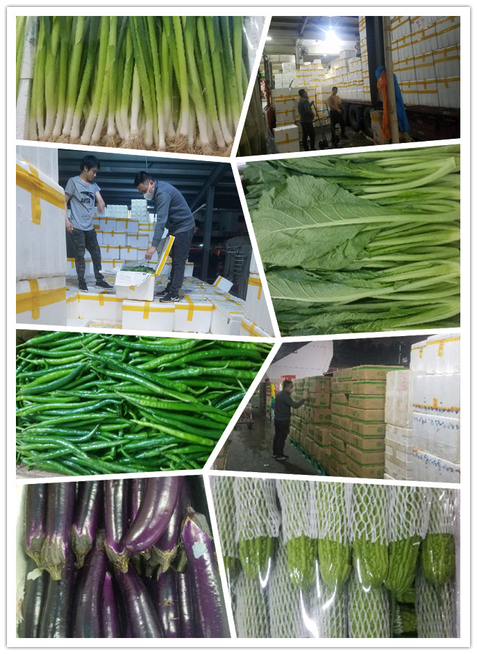 ��ҳ- �ڲ���������Ϊ��,רҵ����!