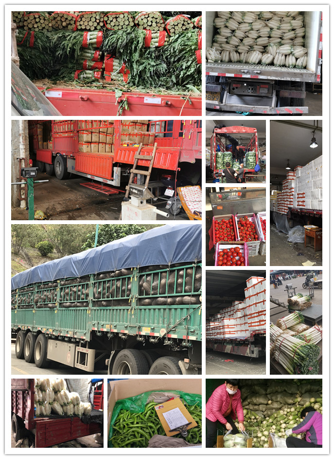 ��ҳ- �ڲ���������Ϊ��,רҵ����!