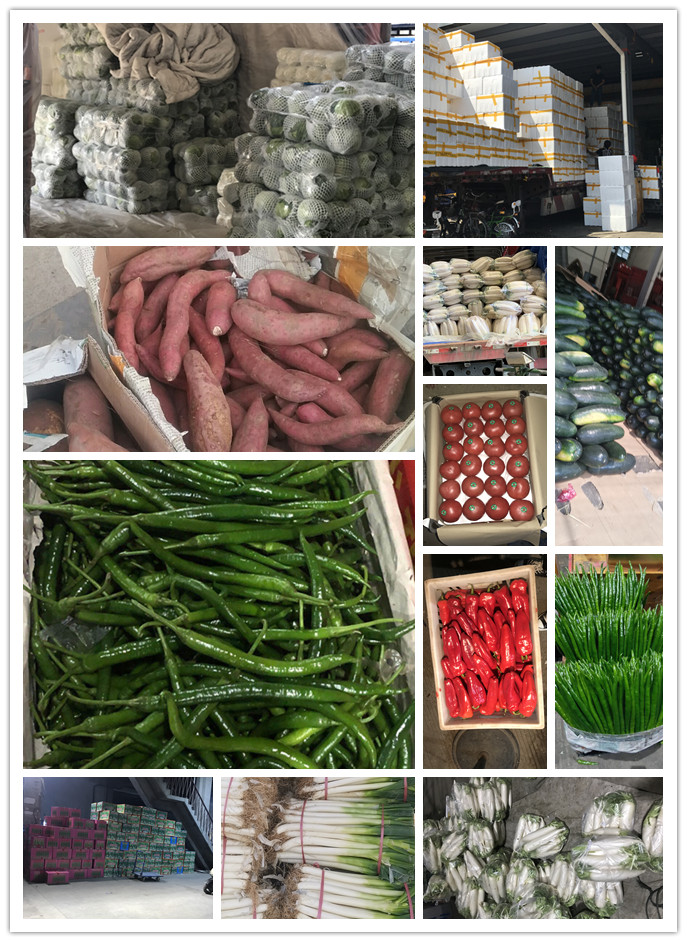 ��ҳ- �ڲ���������Ϊ��,רҵ����!