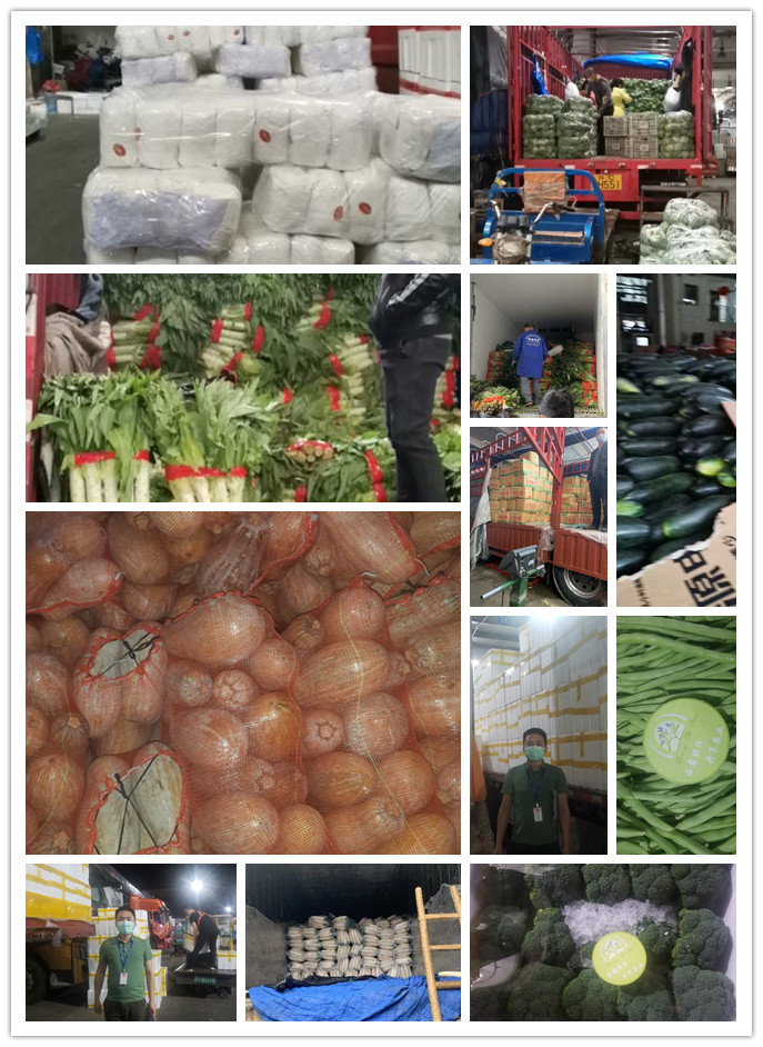 ��ҳ- �ڲ���������Ϊ��,רҵ����!