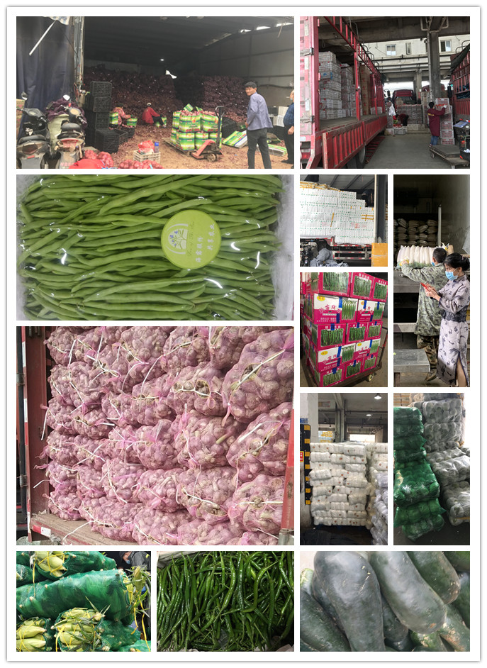 ��ҳ- �ڲ���������Ϊ��,רҵ����!