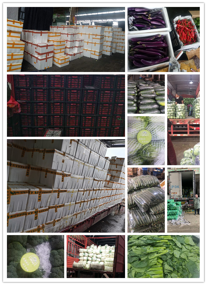 ��ҳ- �ڲ���������Ϊ��,רҵ����!