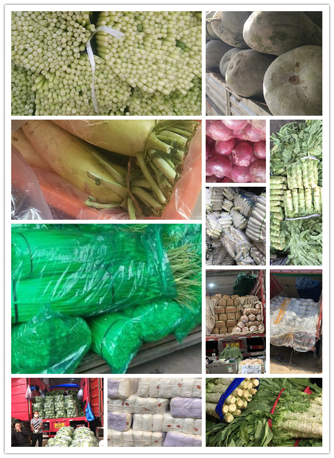 ��ҳ- �ڲ���������Ϊ��,רҵ����!