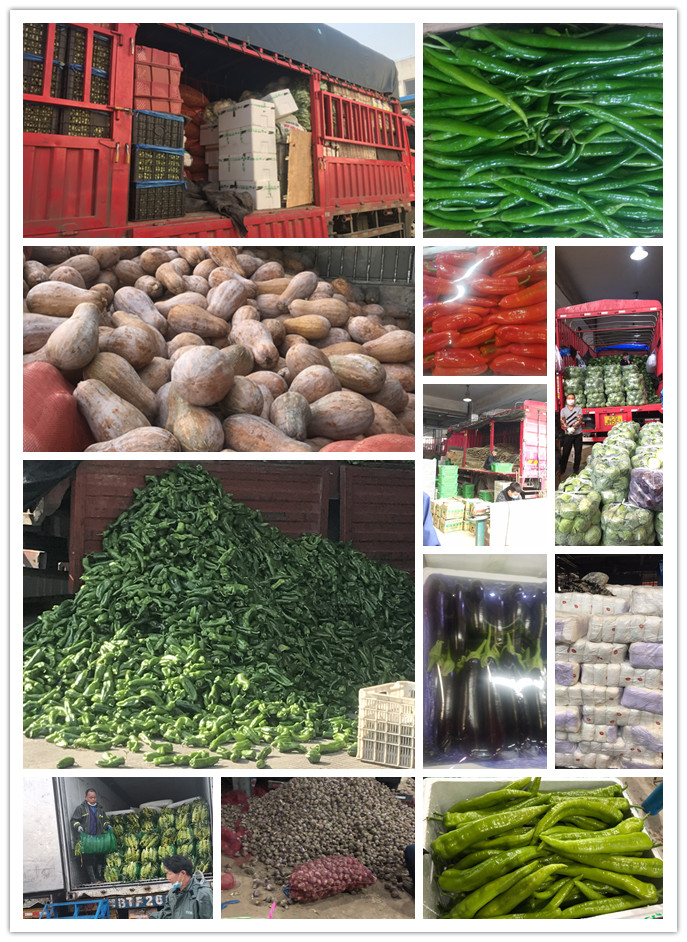 ��ҳ- �ڲ���������Ϊ��,רҵ����!