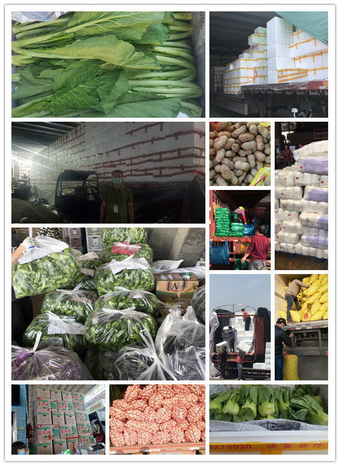 ��ҳ- �ڲ���������Ϊ��,רҵ����!