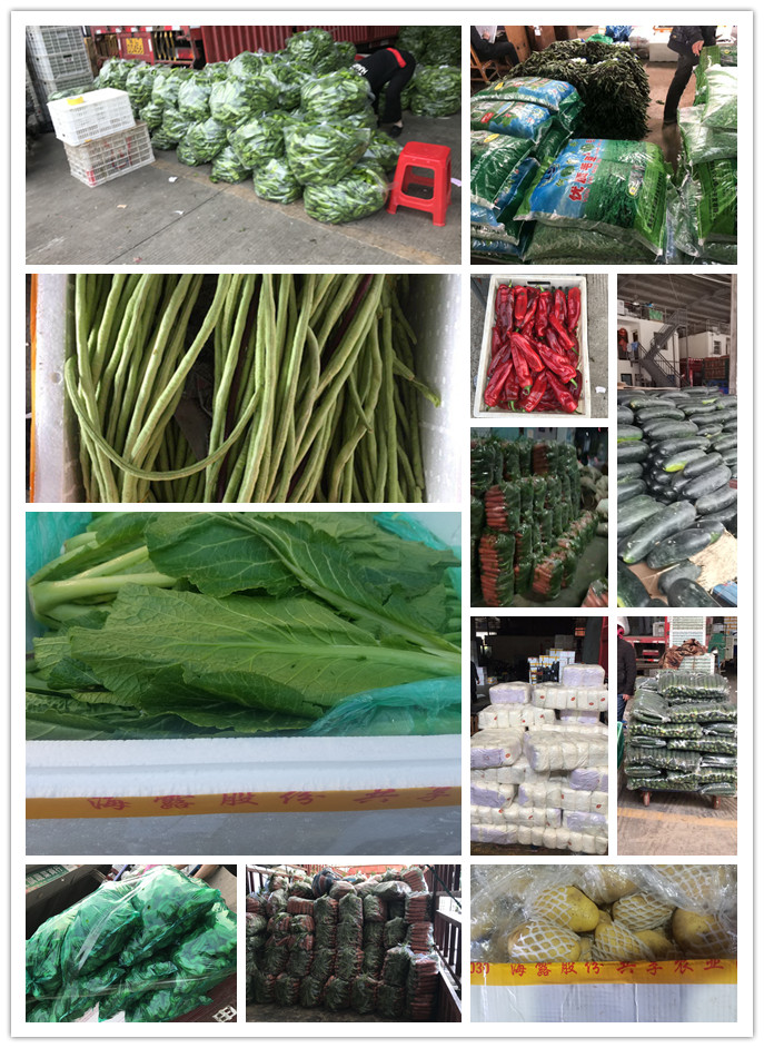 ��ҳ- �ڲ���������Ϊ��,רҵ����!