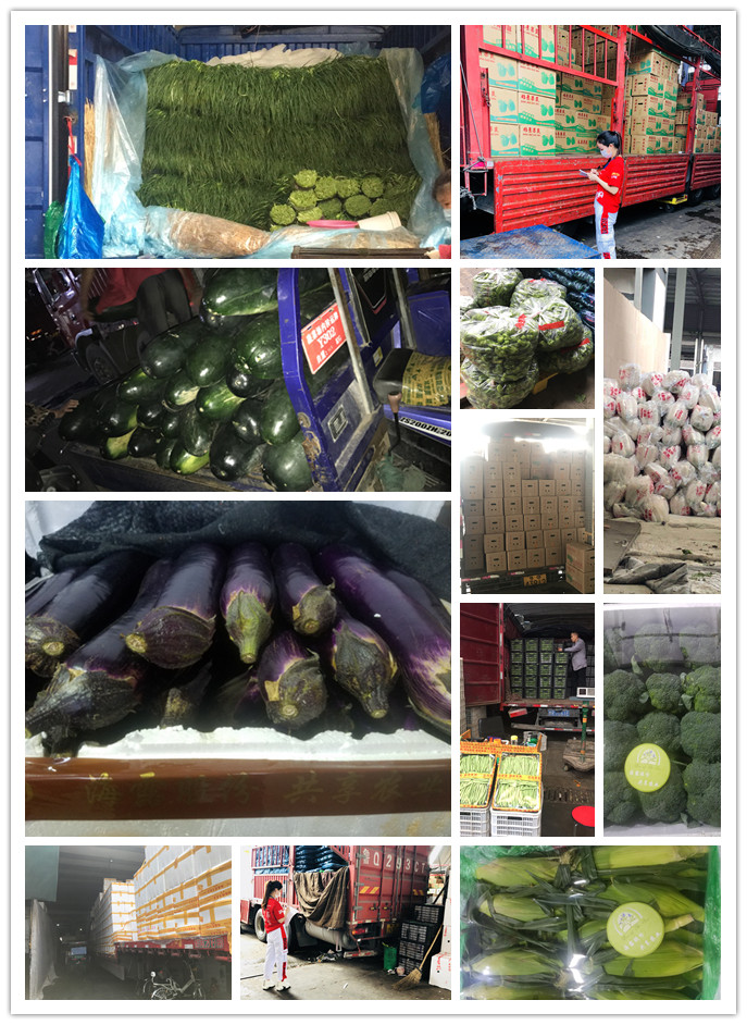 ��ҳ- �ڲ���������Ϊ��,רҵ����!