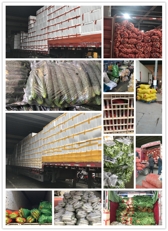 ��ҳ- �ڲ���������Ϊ��,רҵ����!