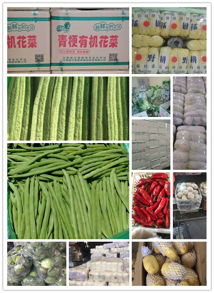 ��ҳ- �ڲ���������Ϊ��,רҵ����!