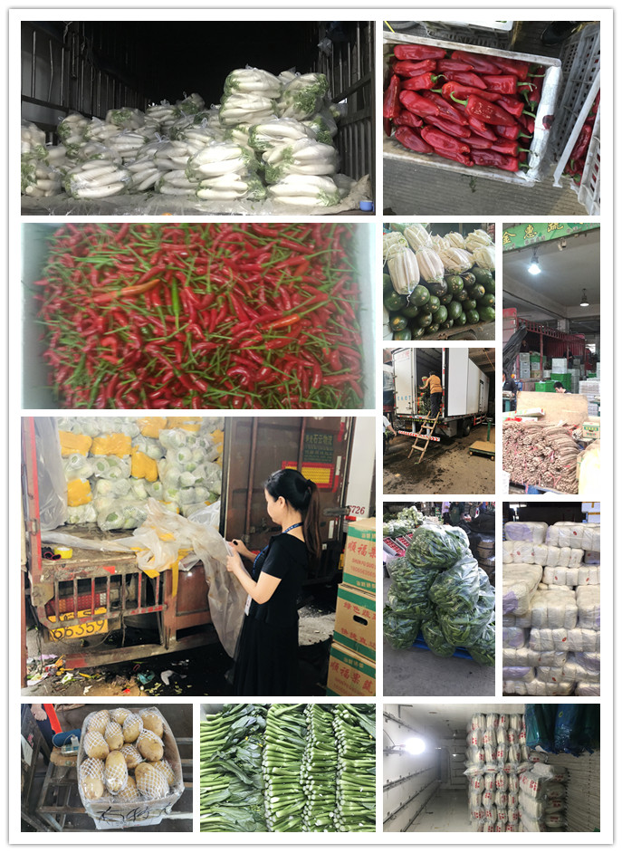 ��ҳ- �ڲ���������Ϊ��,רҵ����!