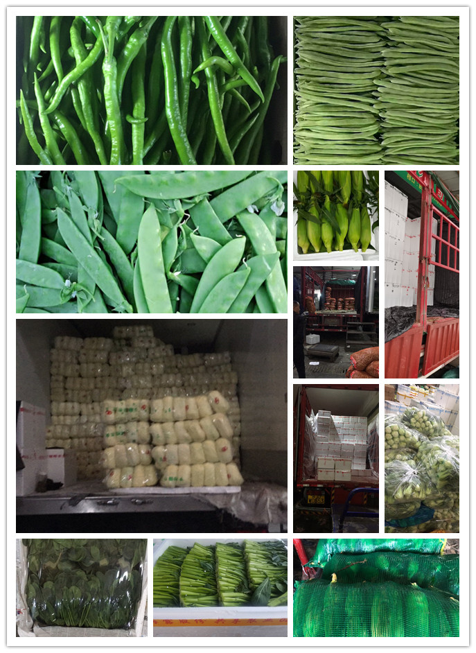 ��ҳ- �ڲ���������Ϊ��,רҵ����!