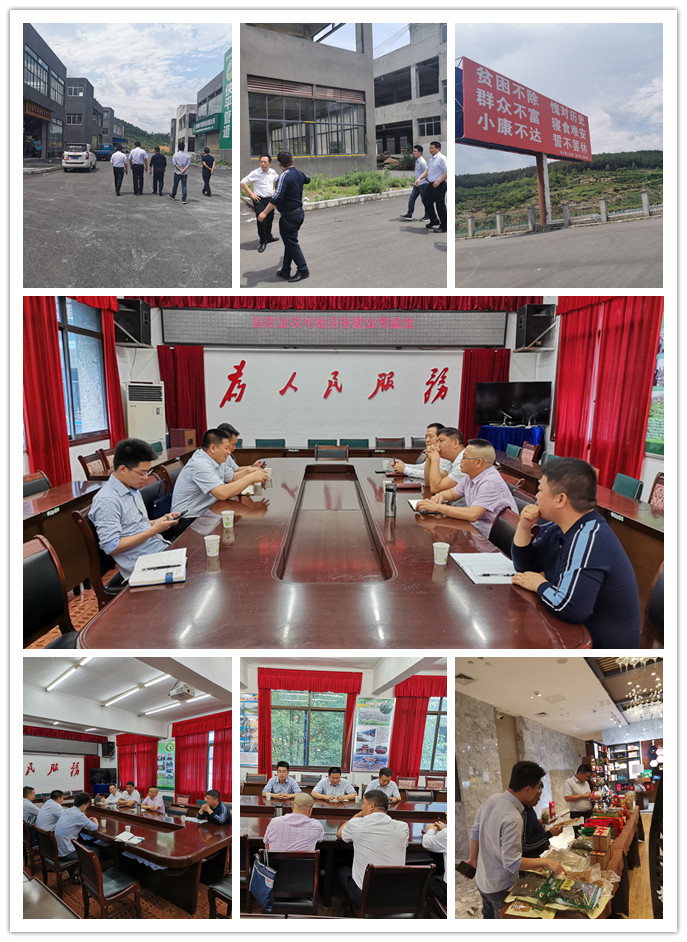 ��ҳ- �ڲ���������Ϊ��,רҵ����!