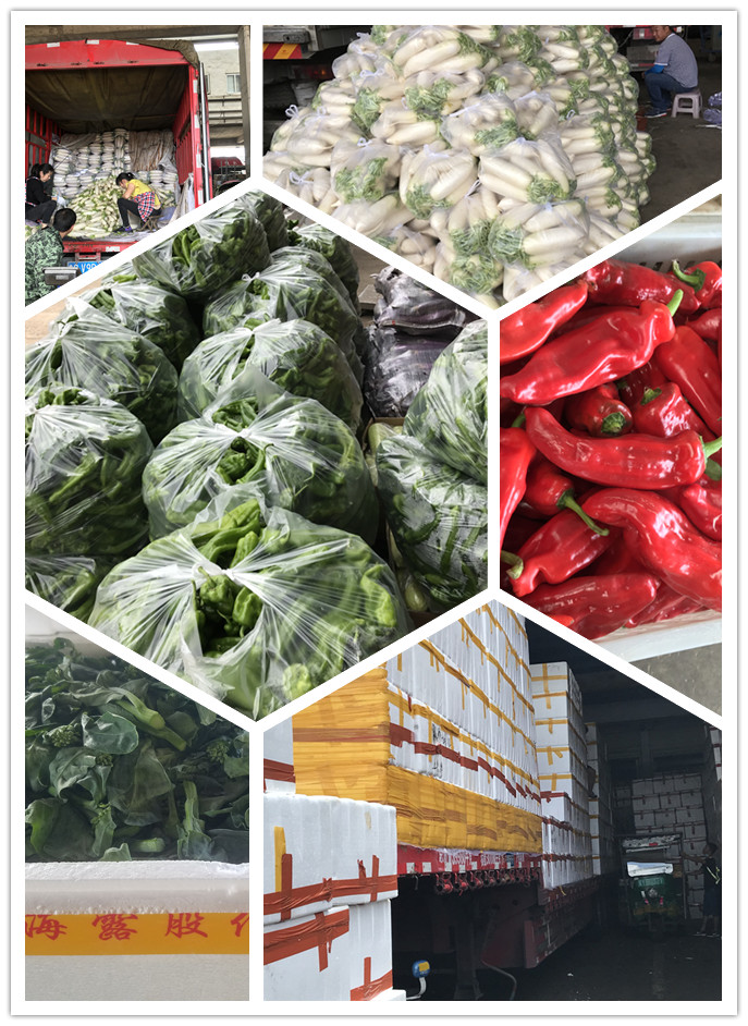 ��ҳ- �ڲ���������Ϊ��,רҵ����!